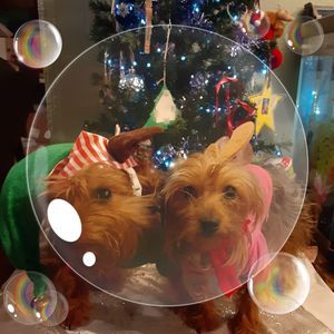 Meet your Posher, Jami